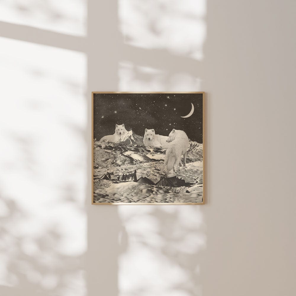 White Wolves