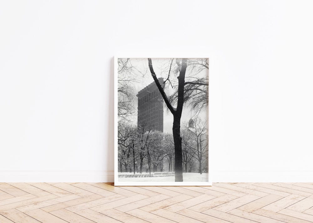 Alfred Stieglitz: 
