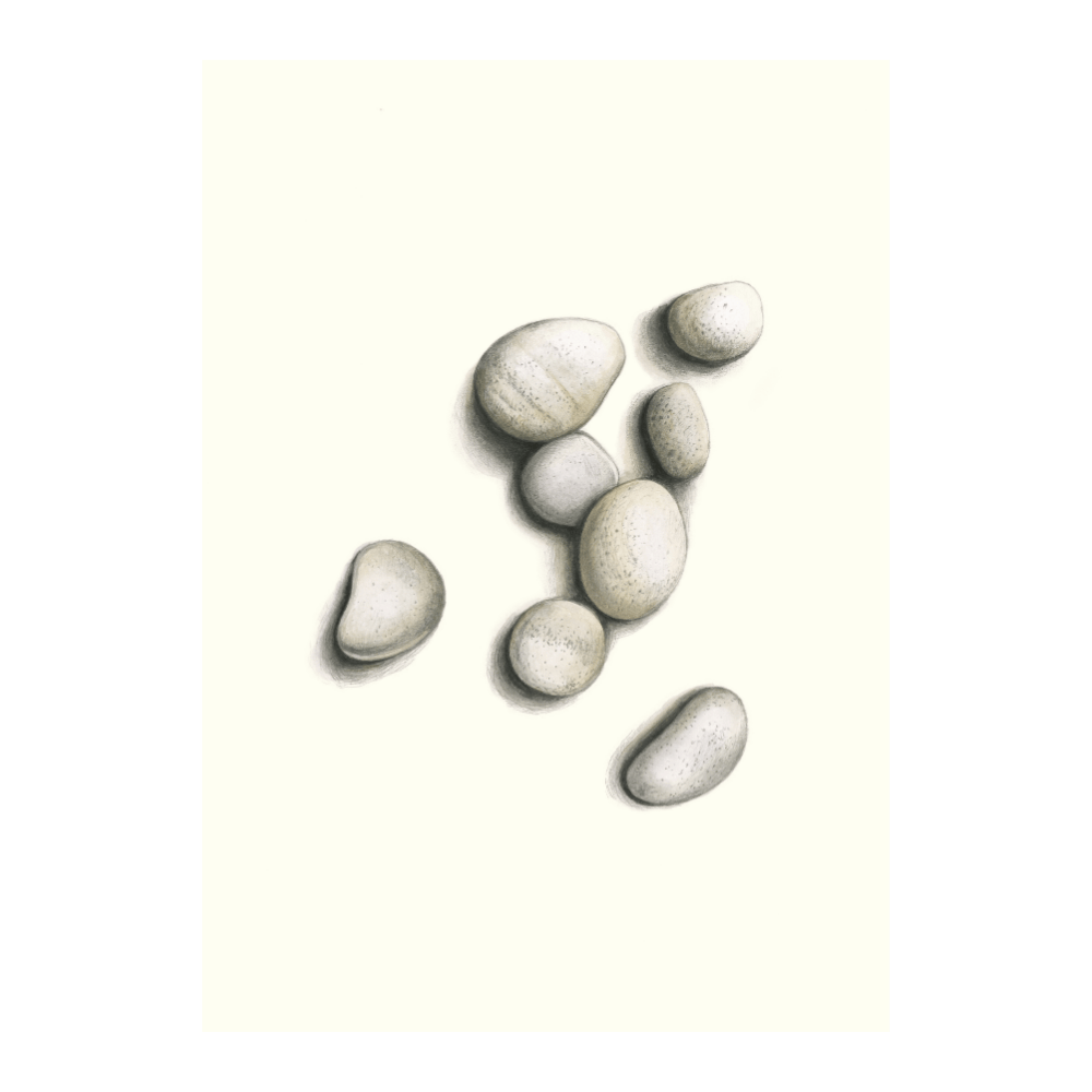 A Sense Of Place | Limited Edition