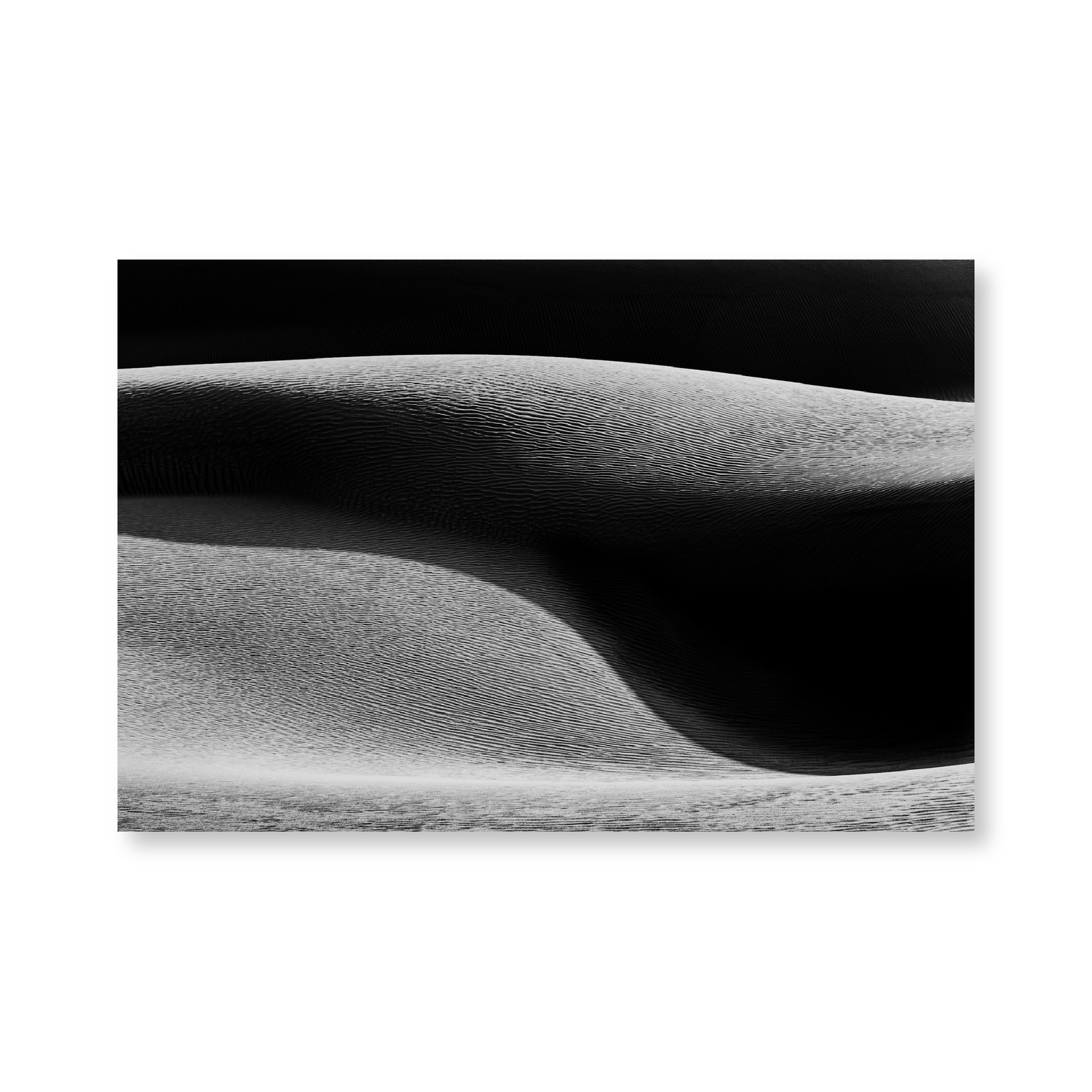 Abstract Sand Dune In Black And White - Jasper & Jute