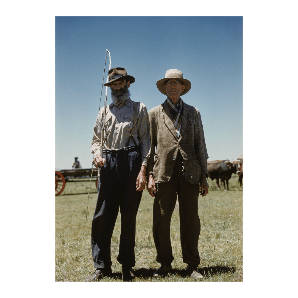 Afrikaners, South Africa III