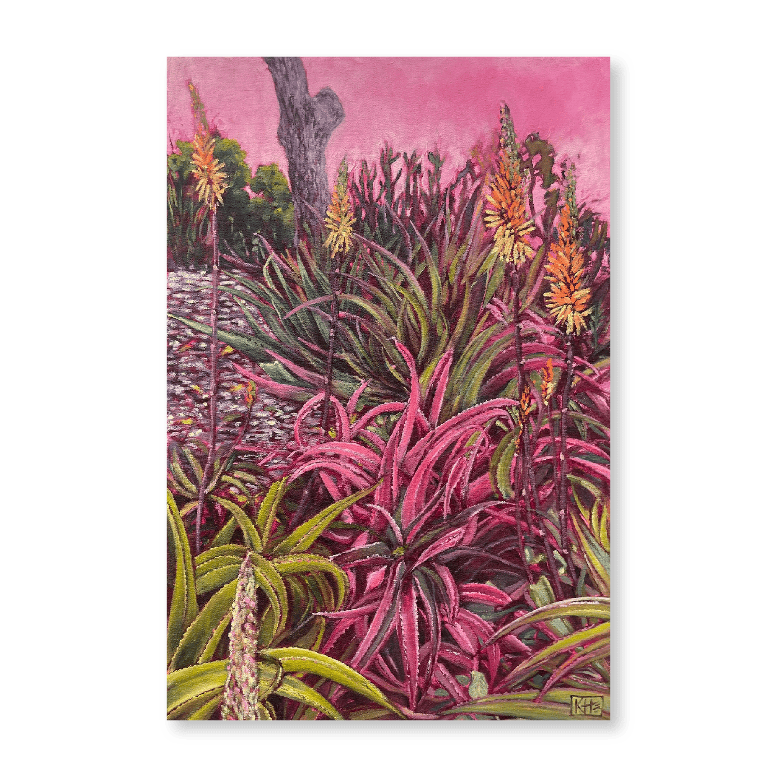 Aloe Aloe | Original