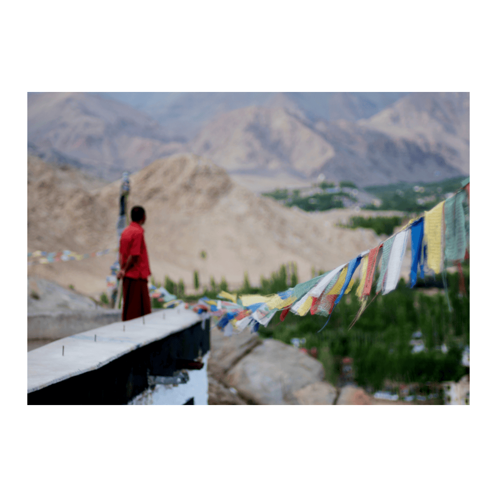 A Monk And The Himalayas, India