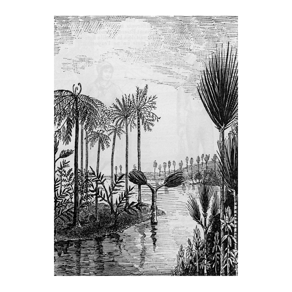 Antique Etching XIV