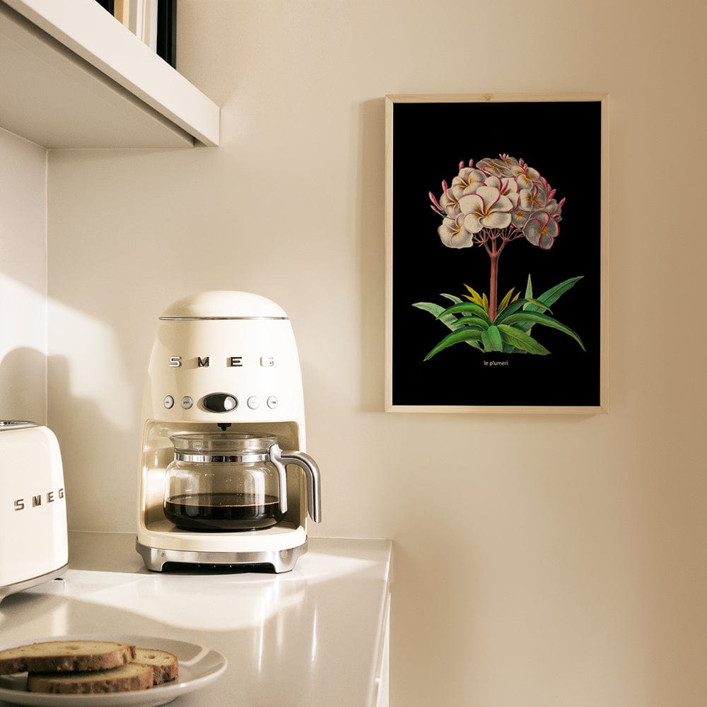 Antique French Botanical V