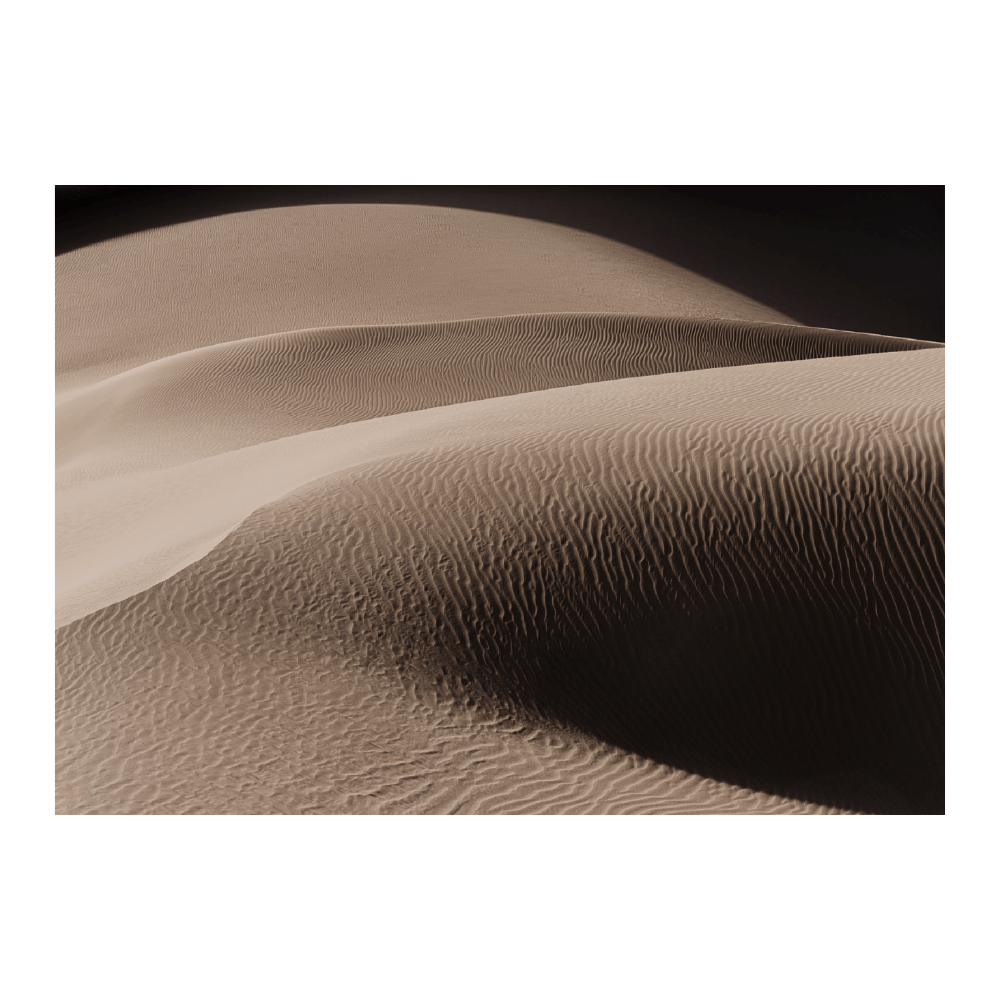 Art Of A Sand Dune