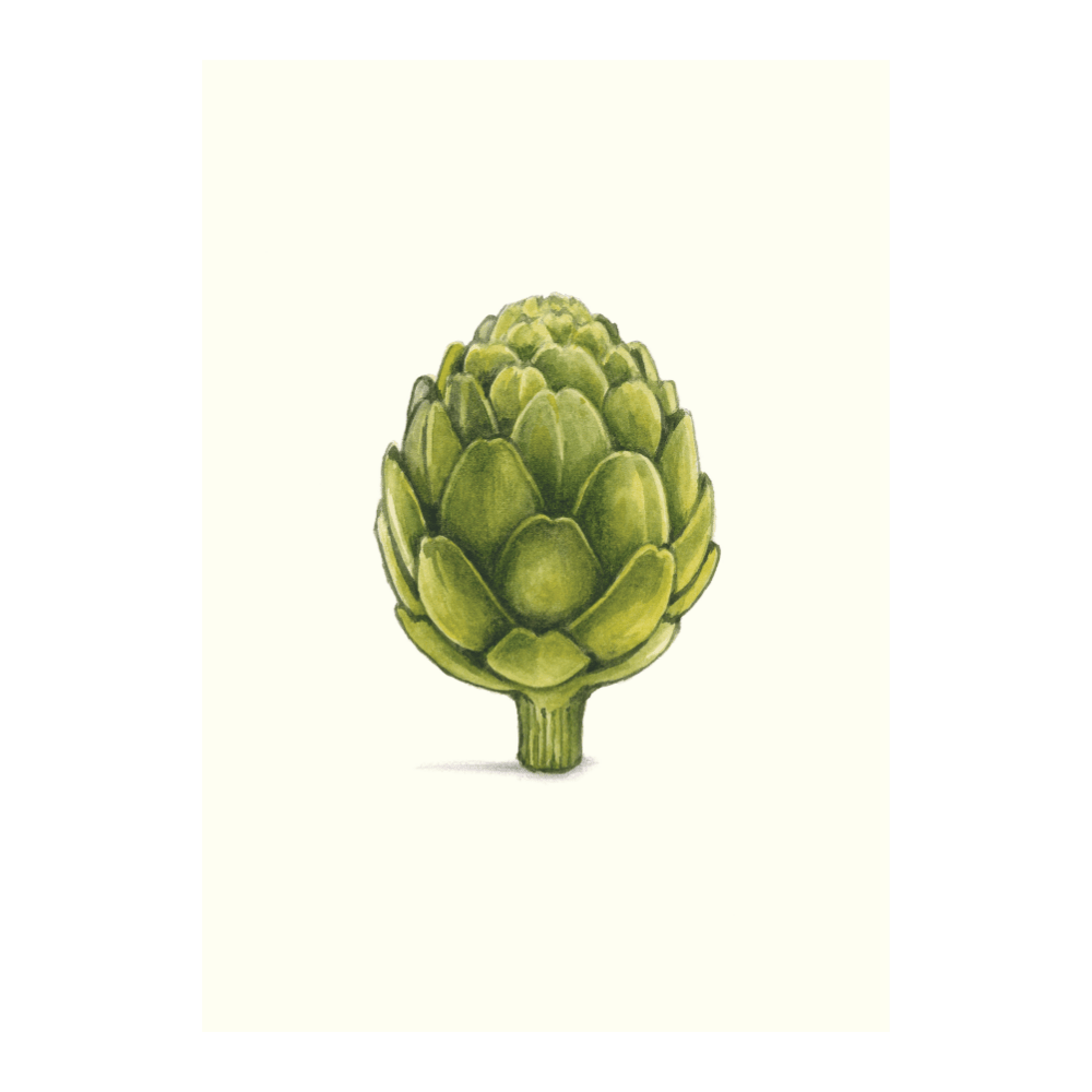 Artichoke