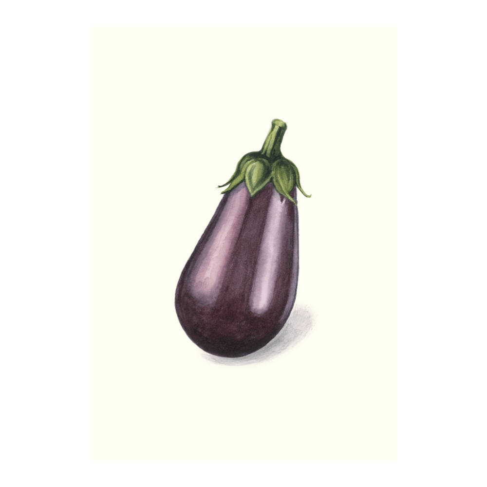 Aubergine