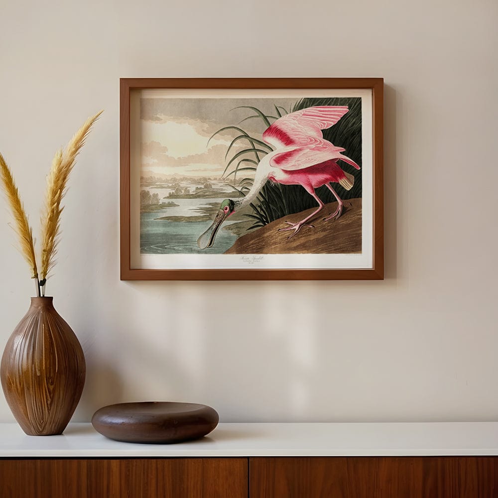 Audubon Roseate Spoonbill