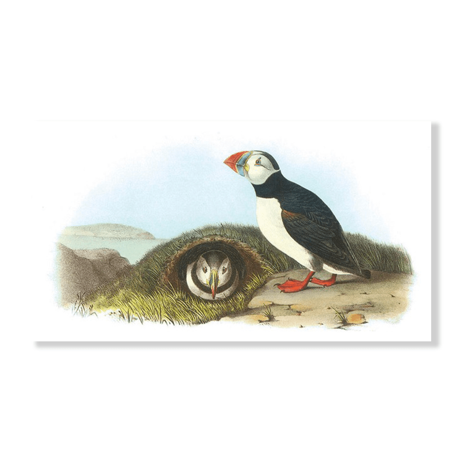 Audubon Atlantic Puffins - Jasper & Jute