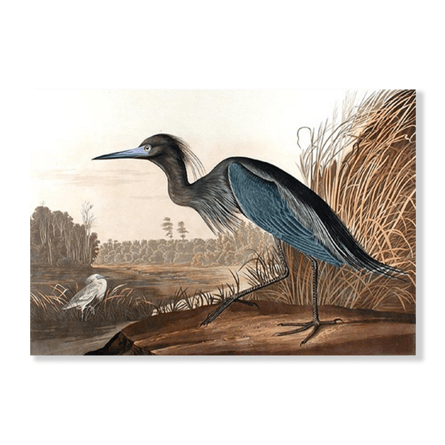 Audubon Blue Heron II - Jasper & Jute