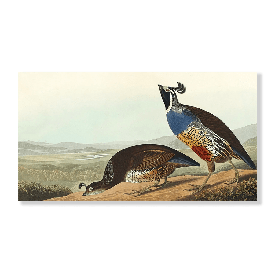 Audubon Quail - Jasper & Jute