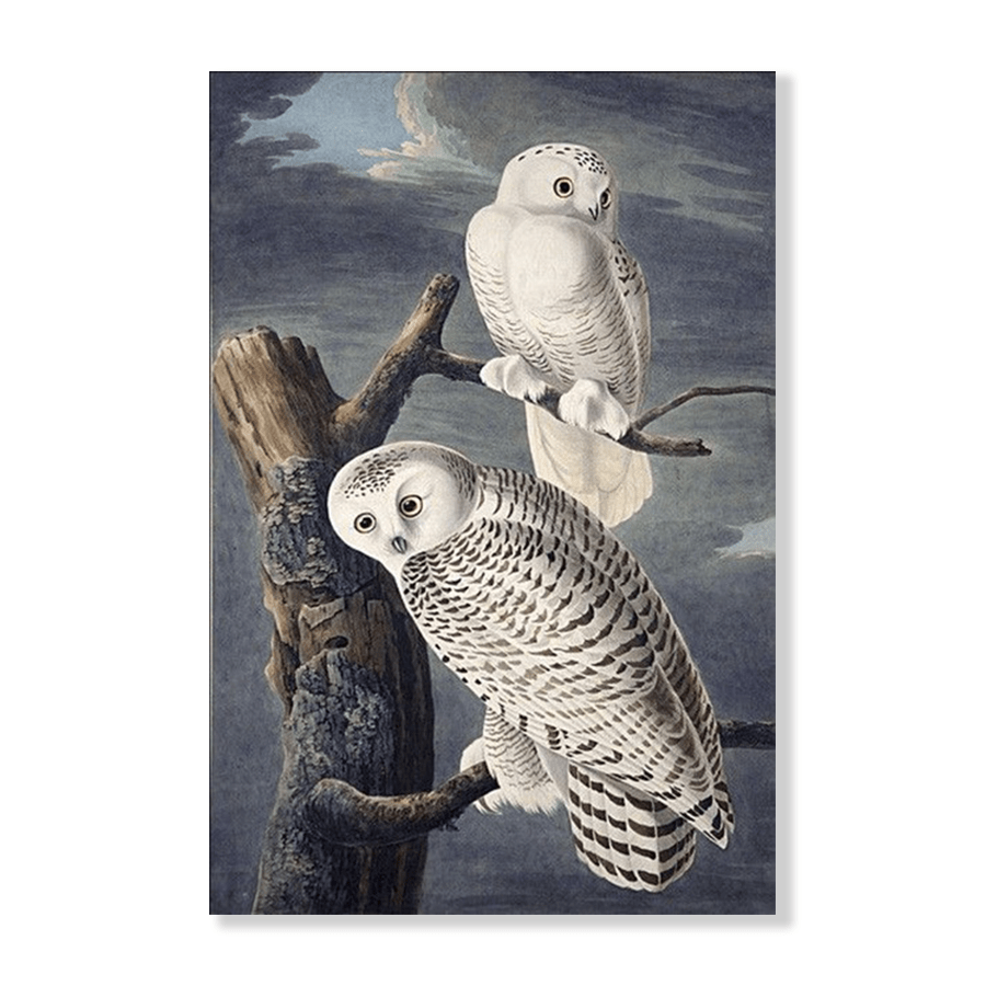 Audubon Snowy Owl - Jasper & Jute