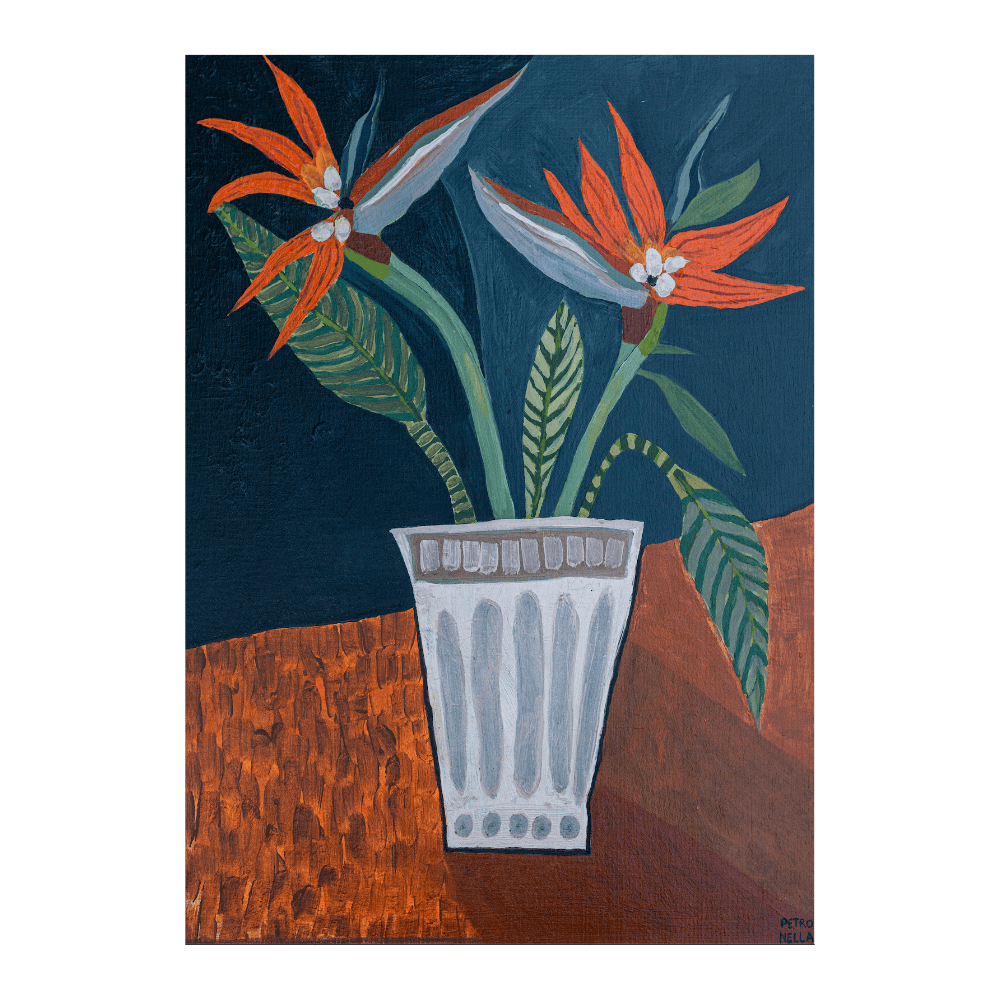 Blooming Strelitzia's