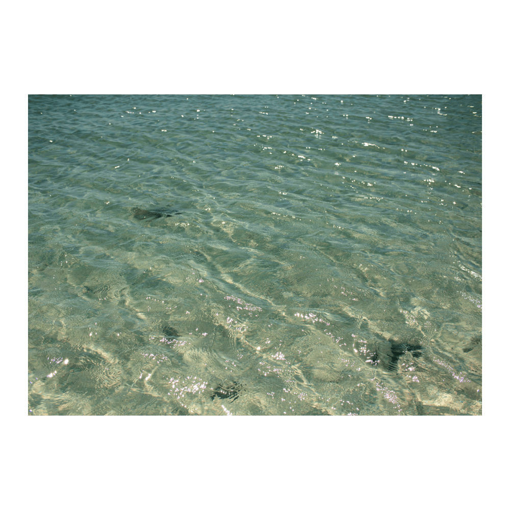 The Sea Of Cortez, Mexico