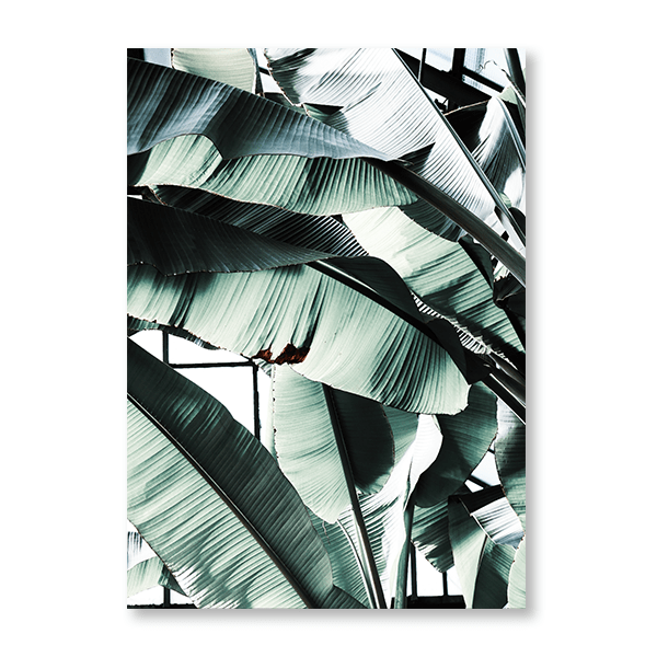 Banana Leaf - Jasper & Jute