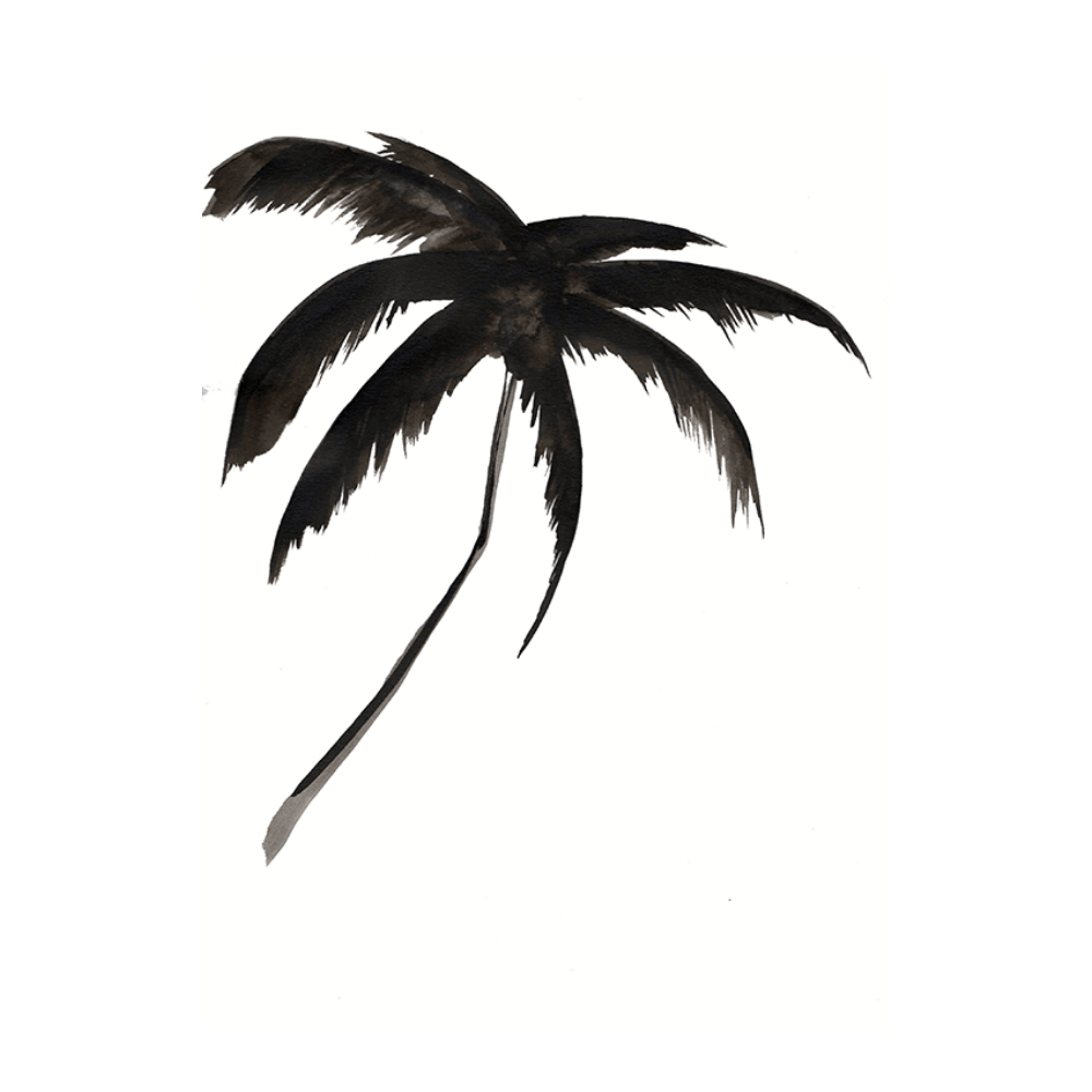 Beach Palm