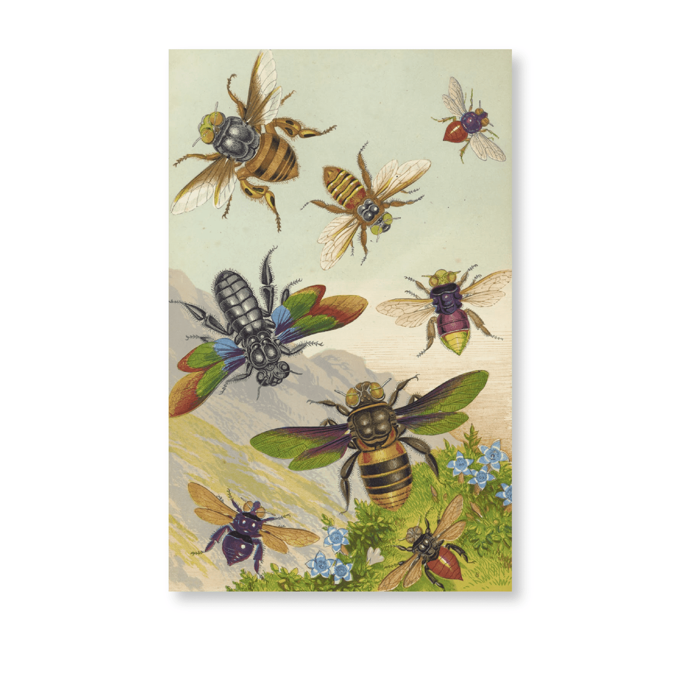 Beautiful Exotic Bees (1871) - Jasper & Jute