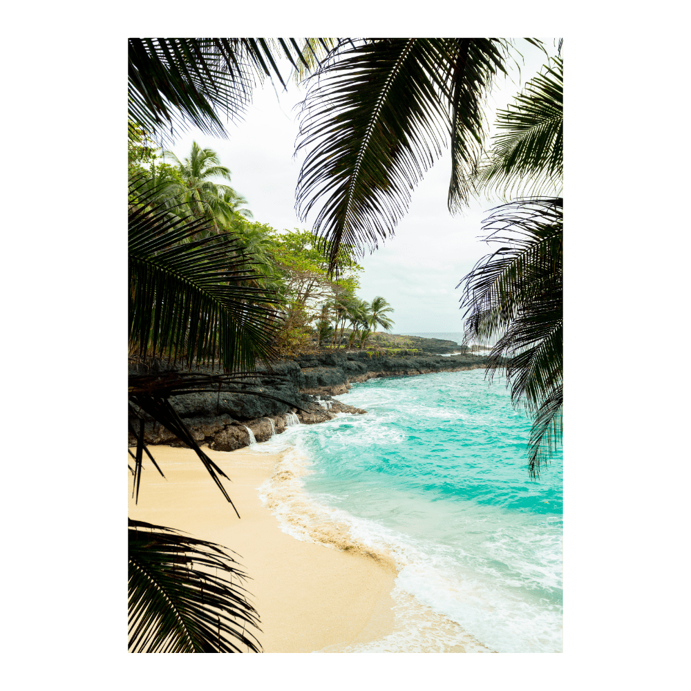 Between The Palms