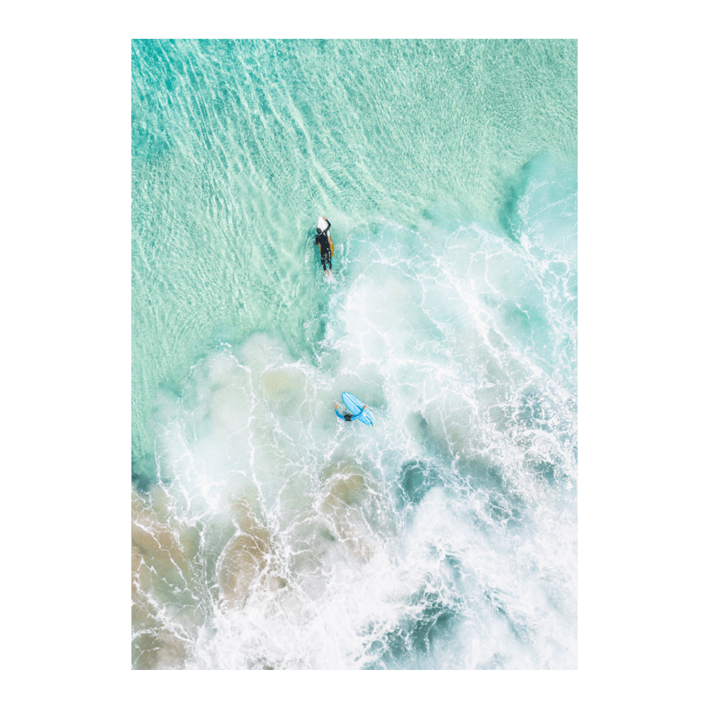 Birdsview