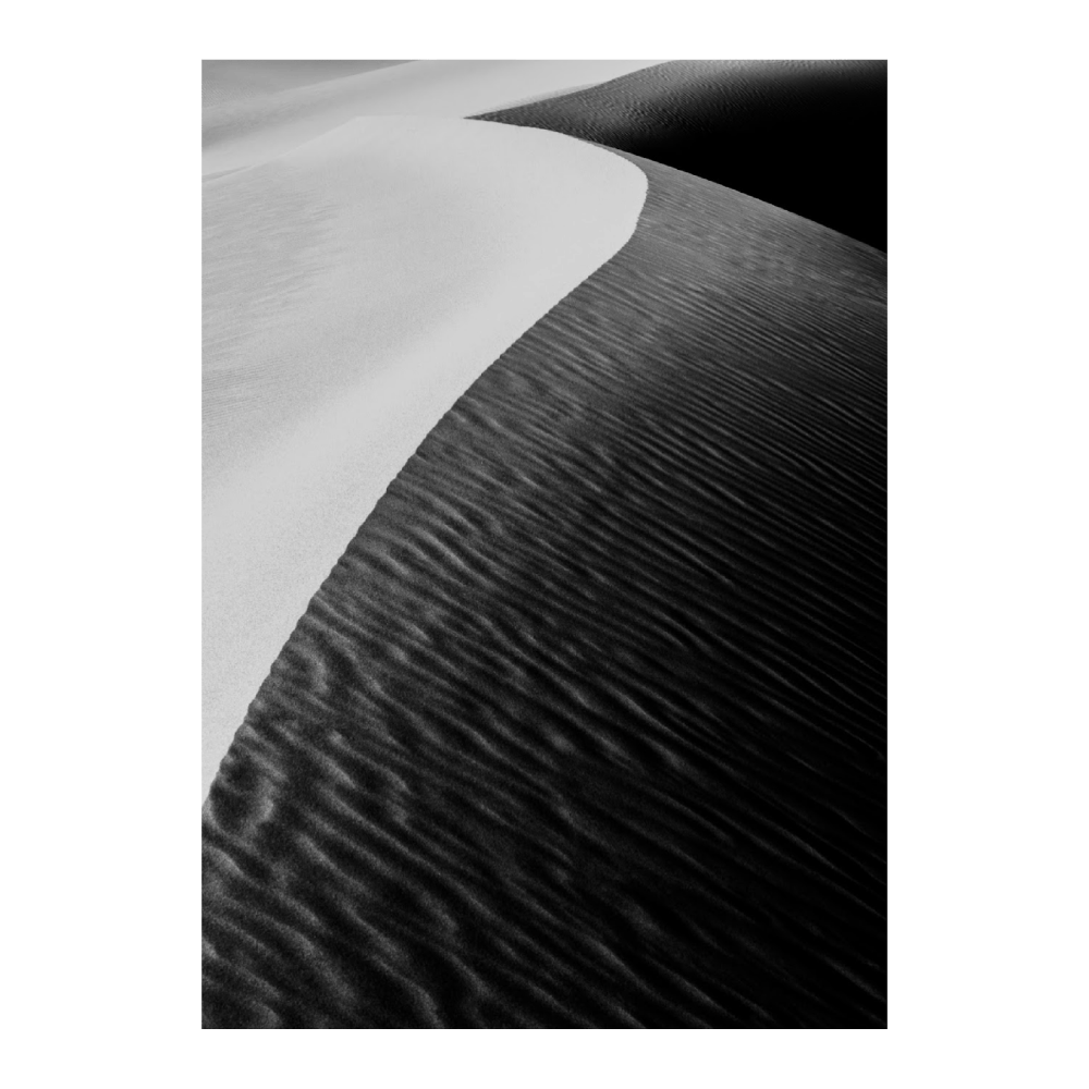 Black And White Sand Dune
