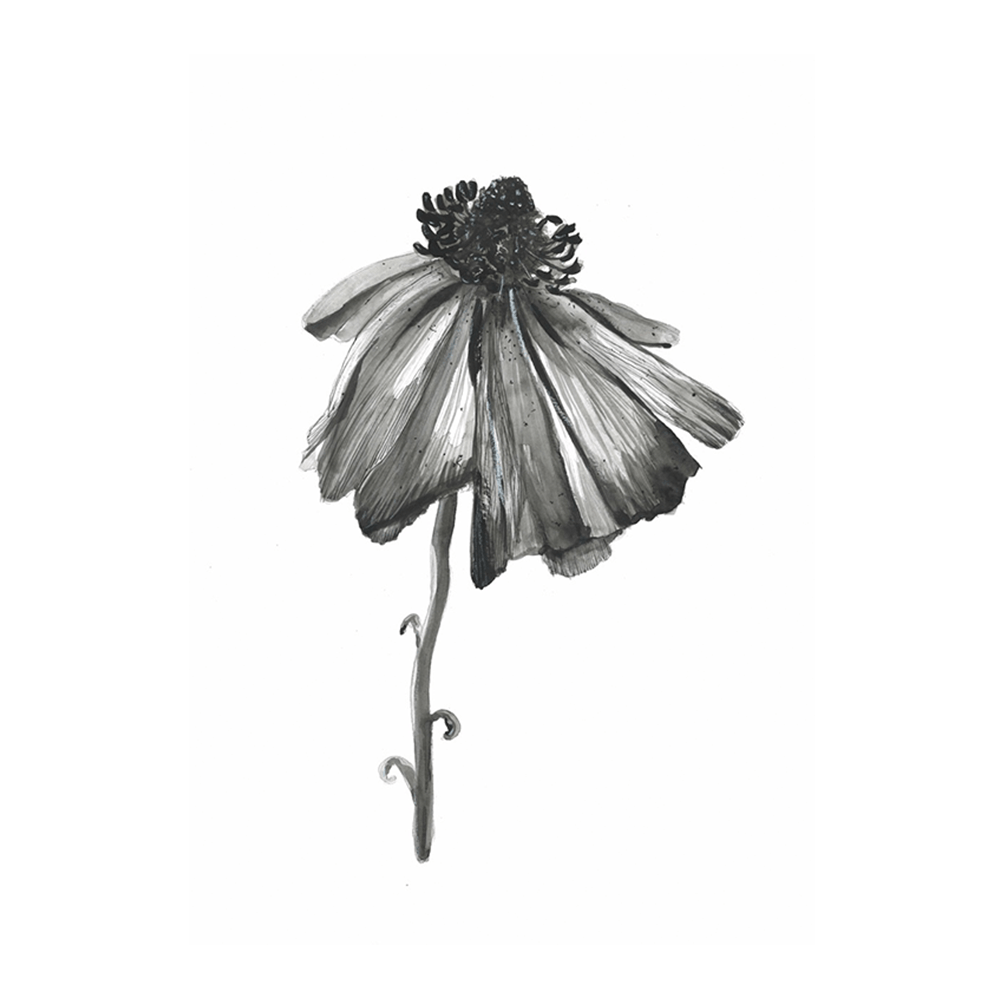 Bloom II