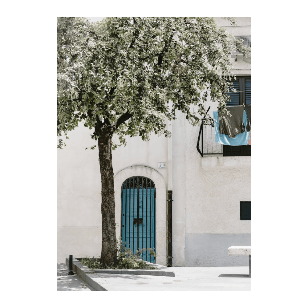 Blue Door And A Tree