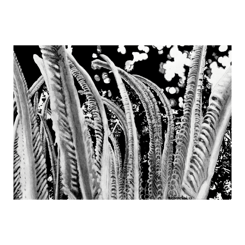 Botanical Awakening IV