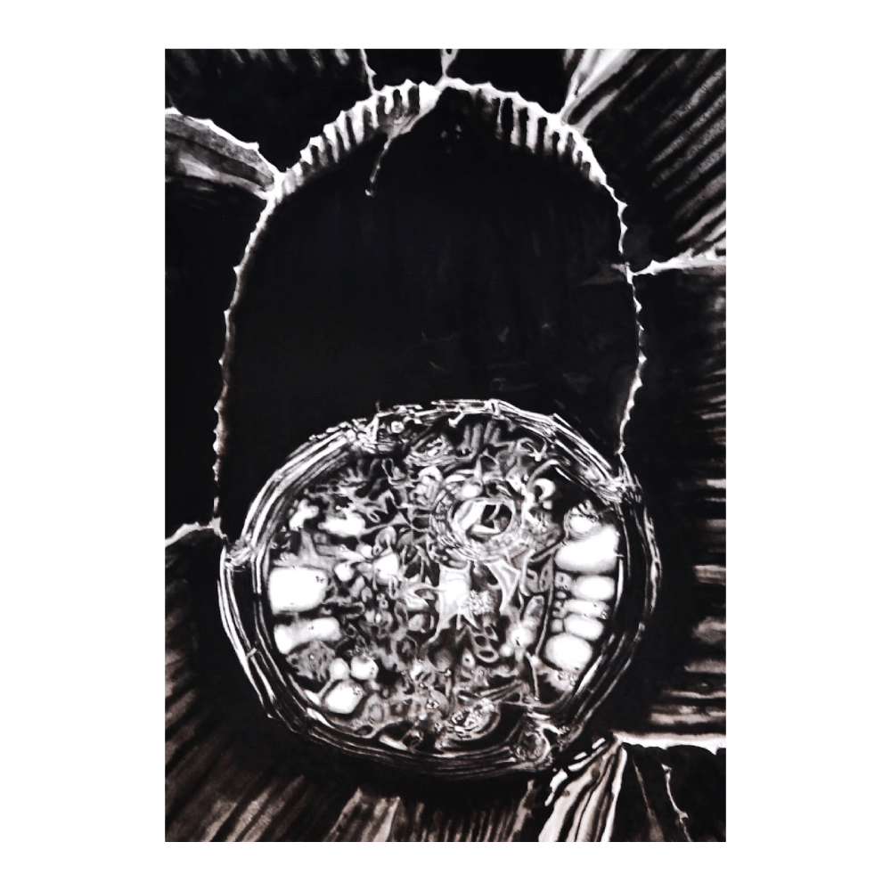 Botanical Bromeliad Haggis I