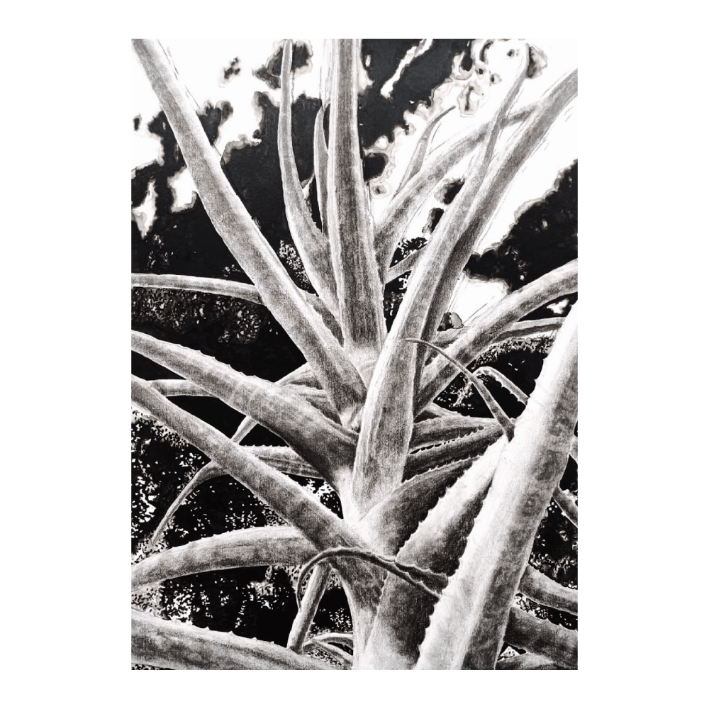 Botanical Securitae III