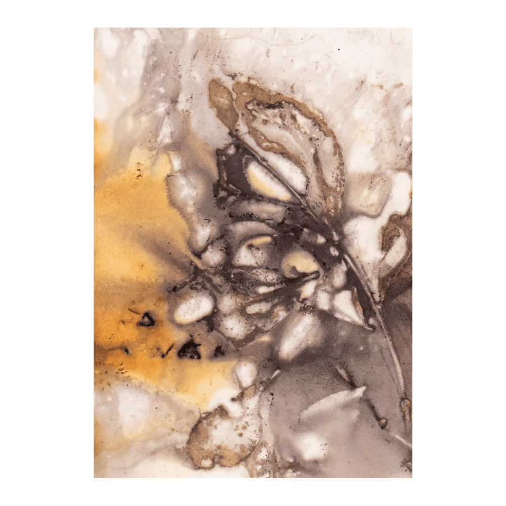 Botanical Serenade I