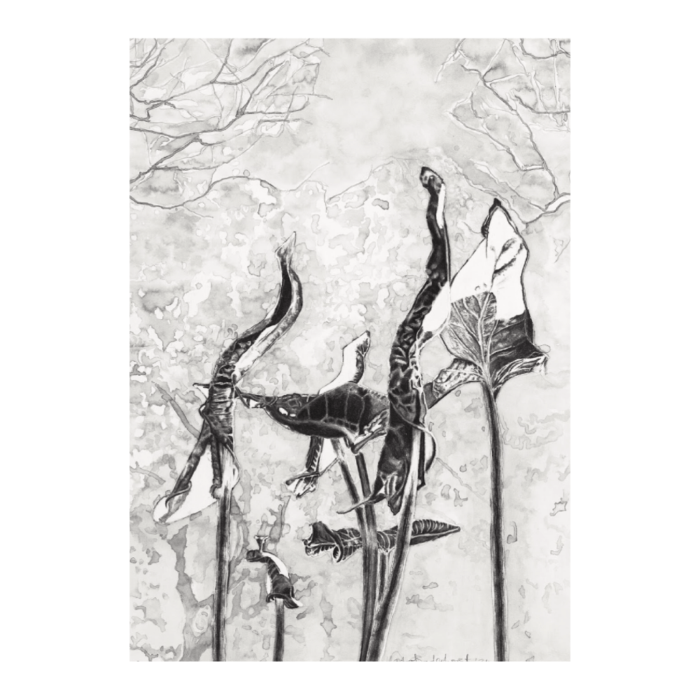 Botanical Seven Leaves V