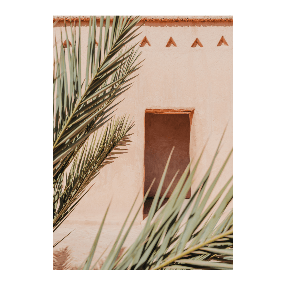 Botanical Scene in Morocco