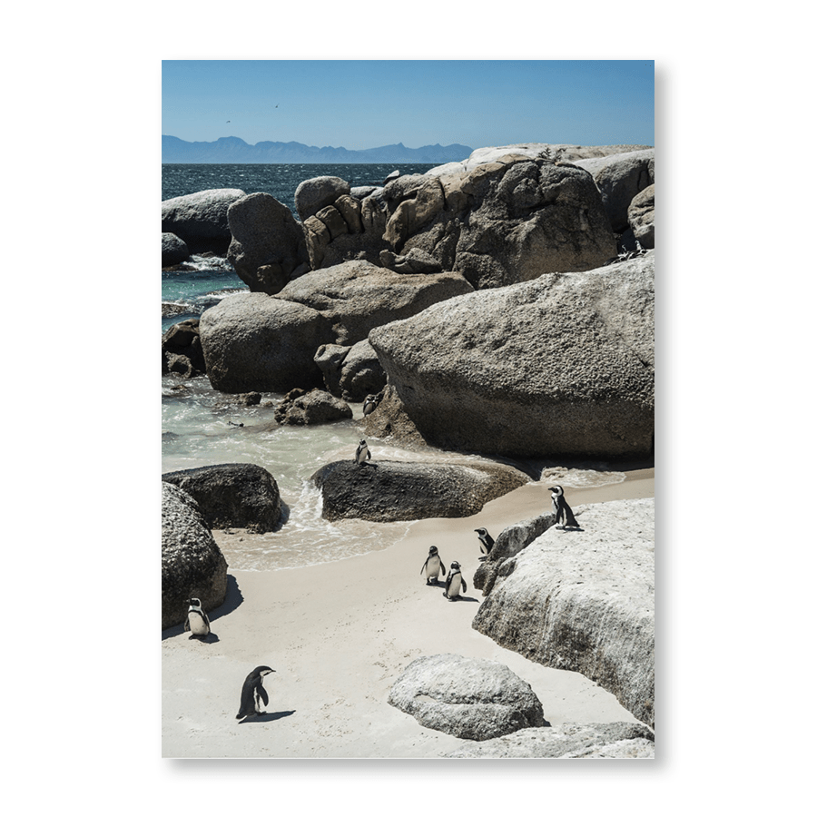 Boulders Beach - Jasper & Jute