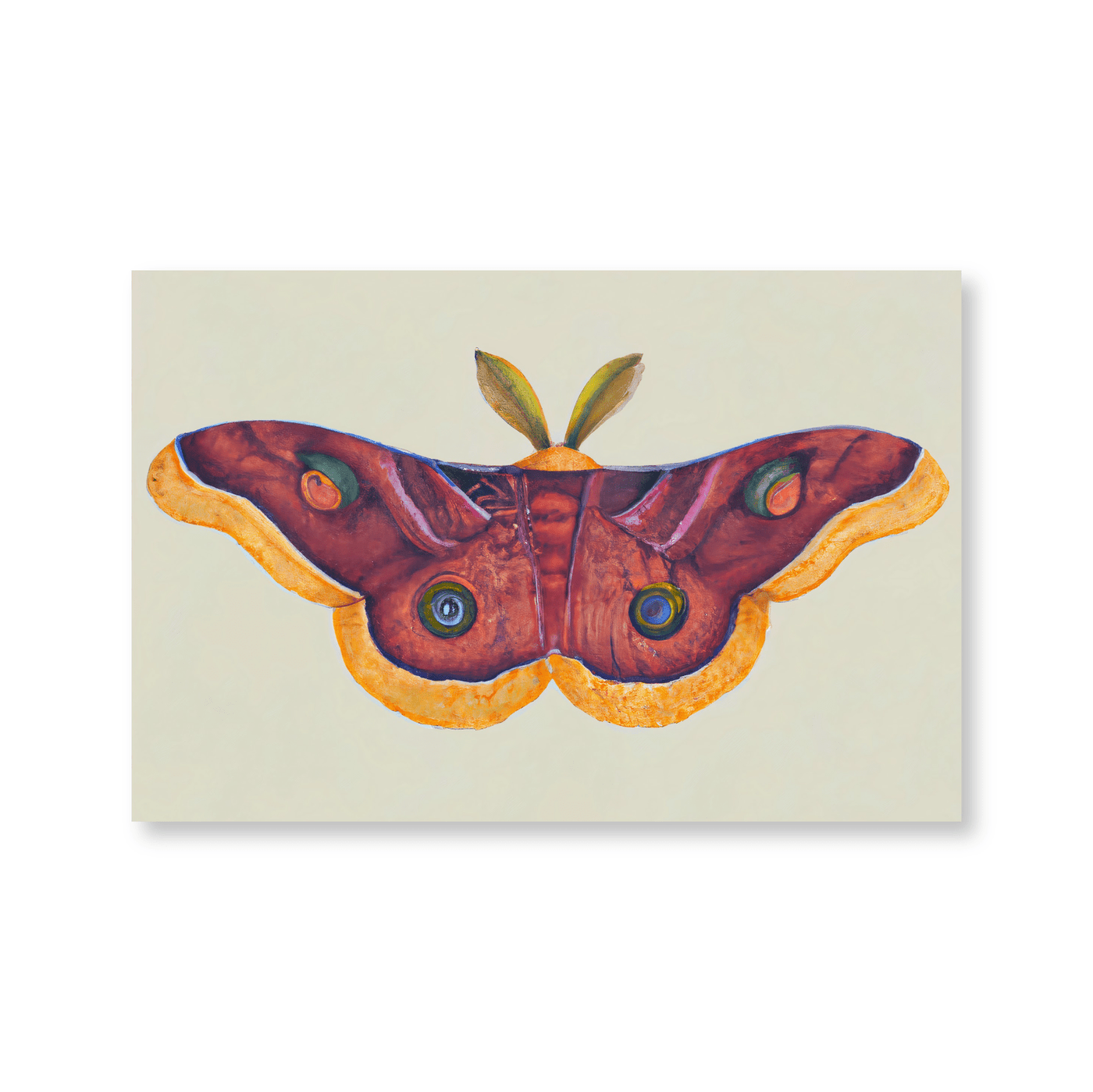 Butterfly Effect - Jasper & Jute