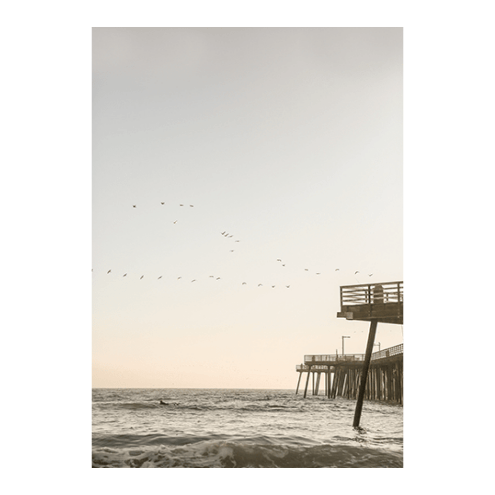 California Surfers