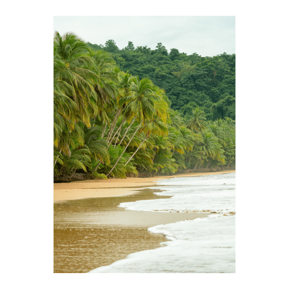 Castaway
