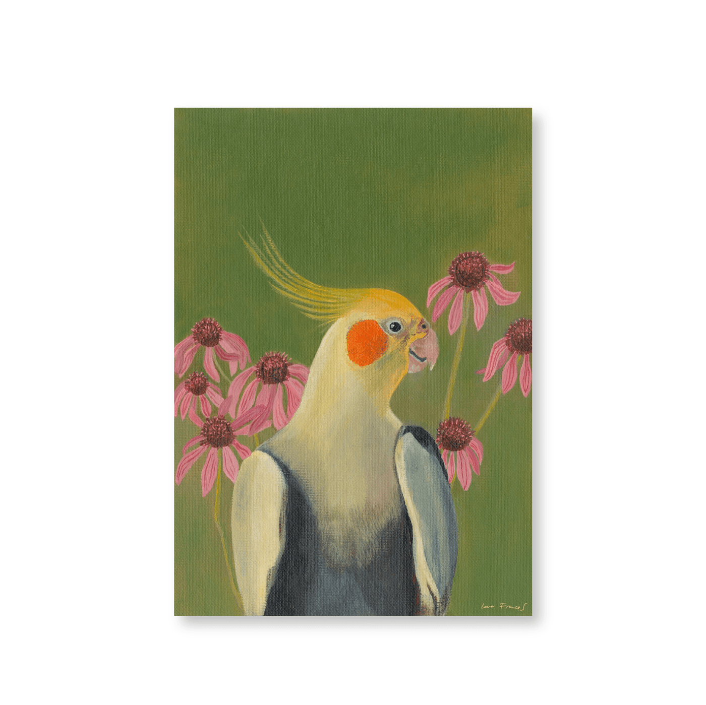 Cockatiel Echinacea - Jasper & Jute