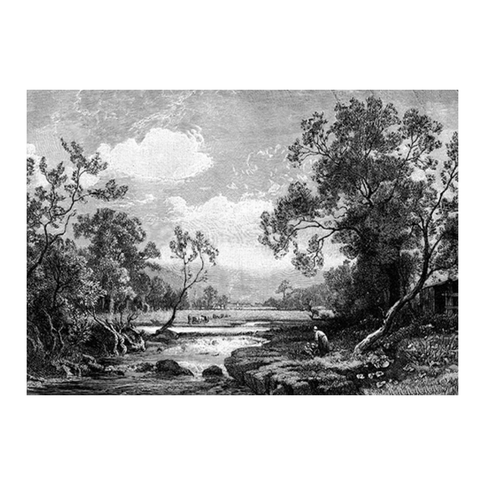 Antique Etching III