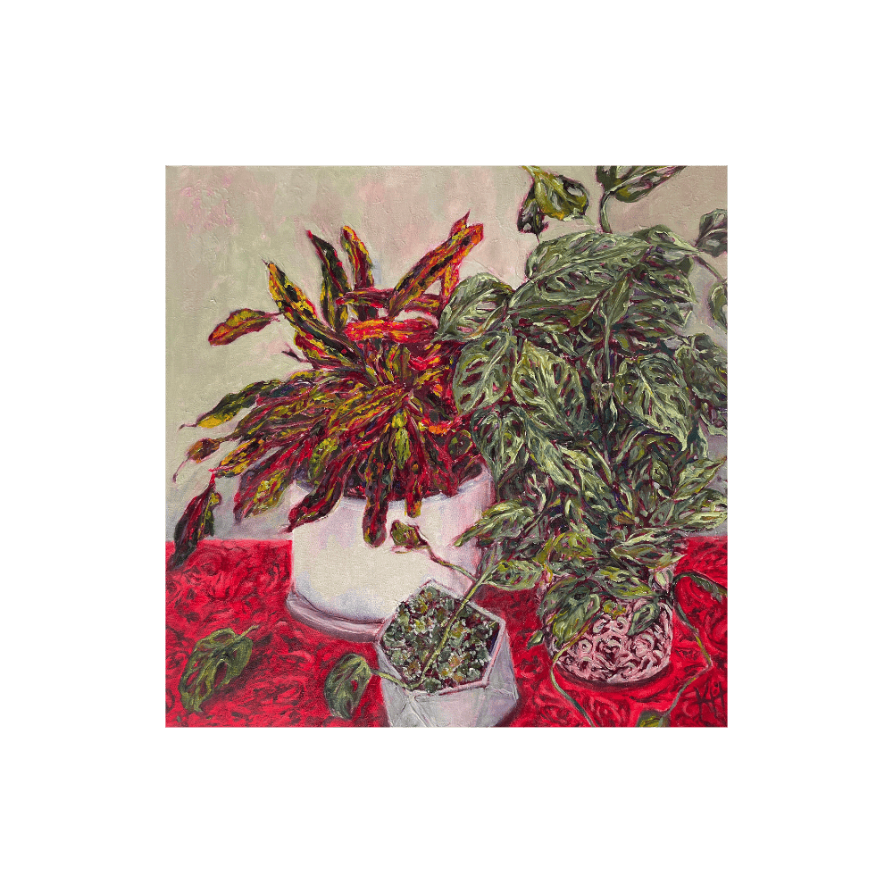 Crotons & Swiss Cheese