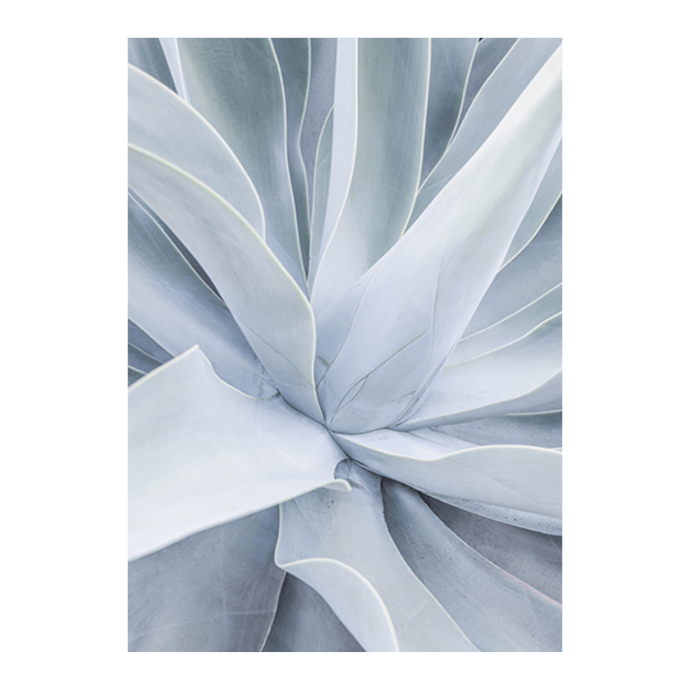 Crystal Cactus