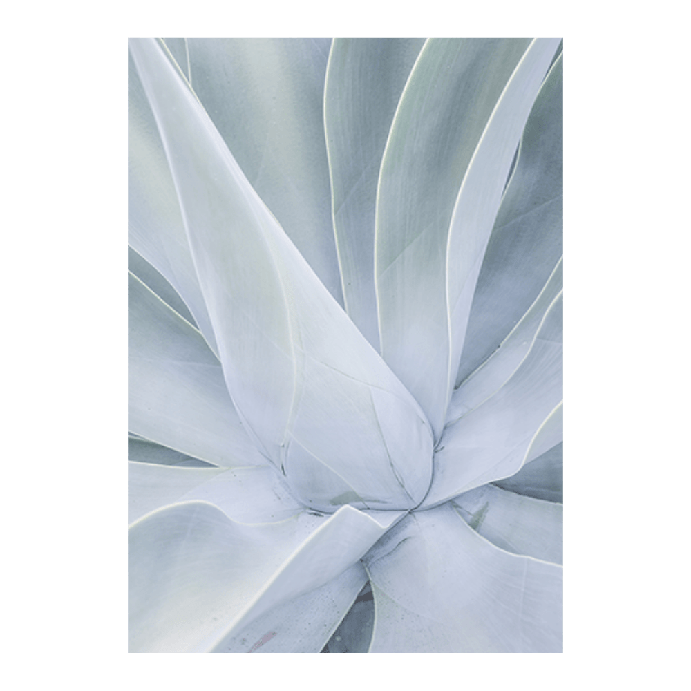 Crystal Cactus II