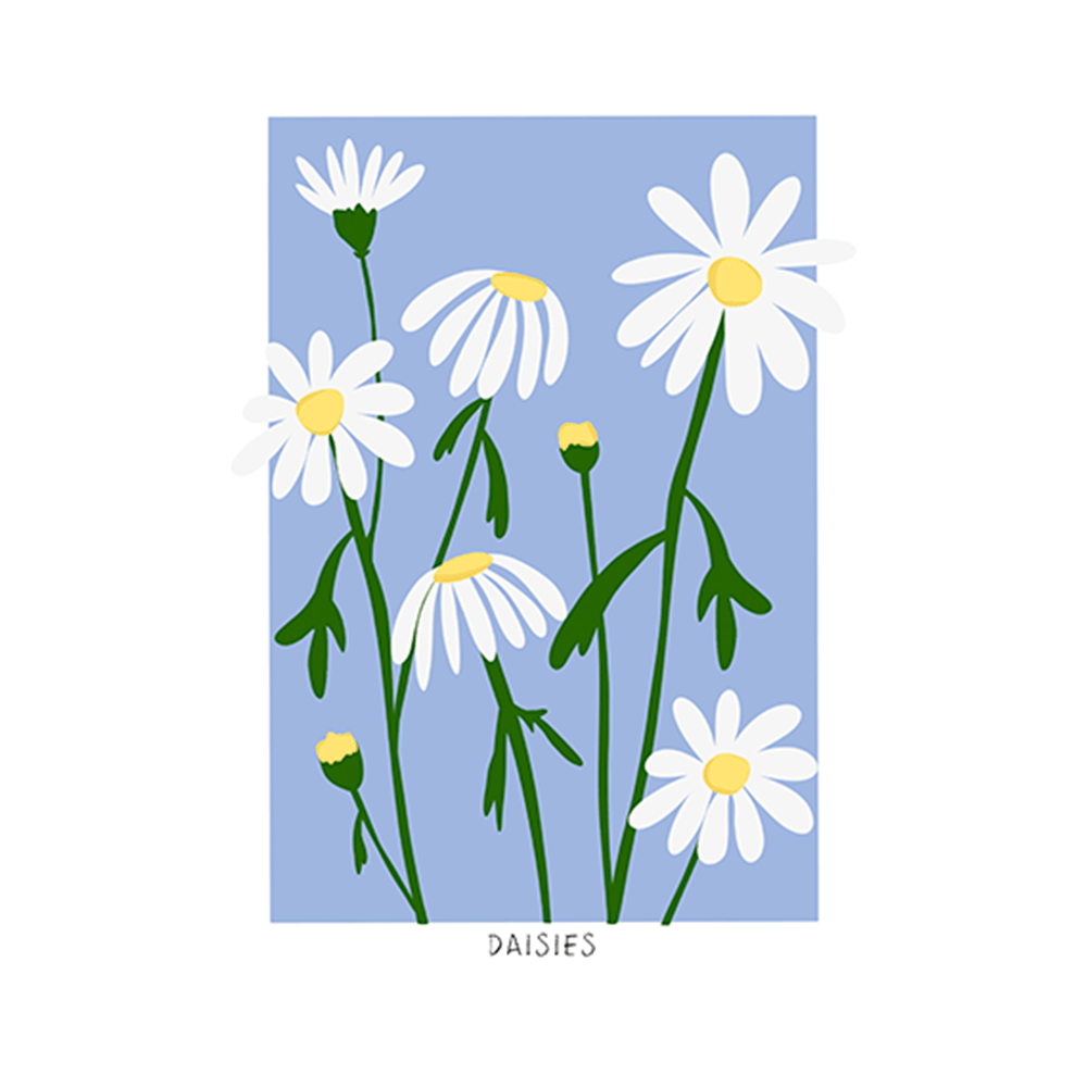 ‍Daisies (100% off)