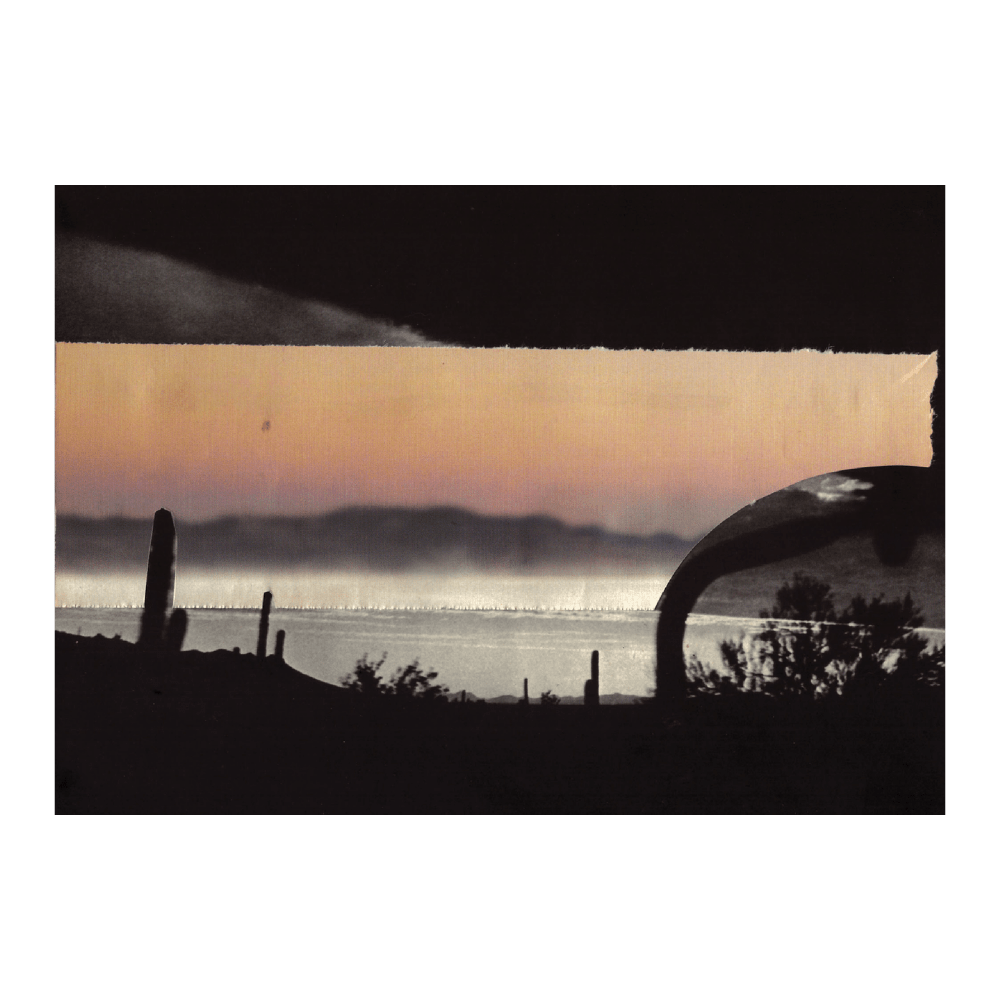 Desert Dawn