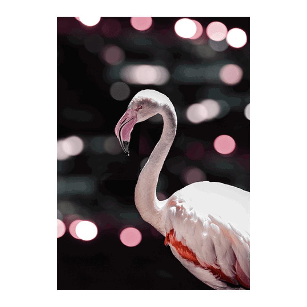 Disco Flamingo