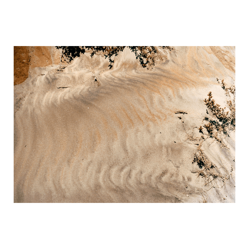 Dune | Limited Edition
