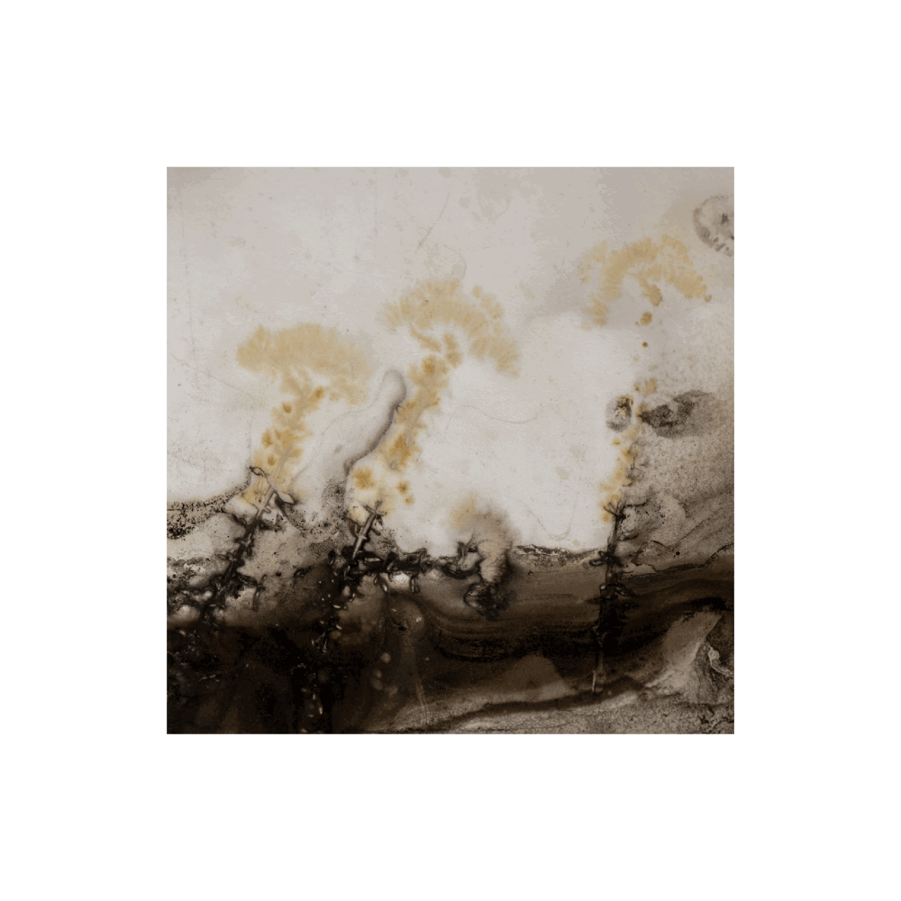 Earth's Secret II