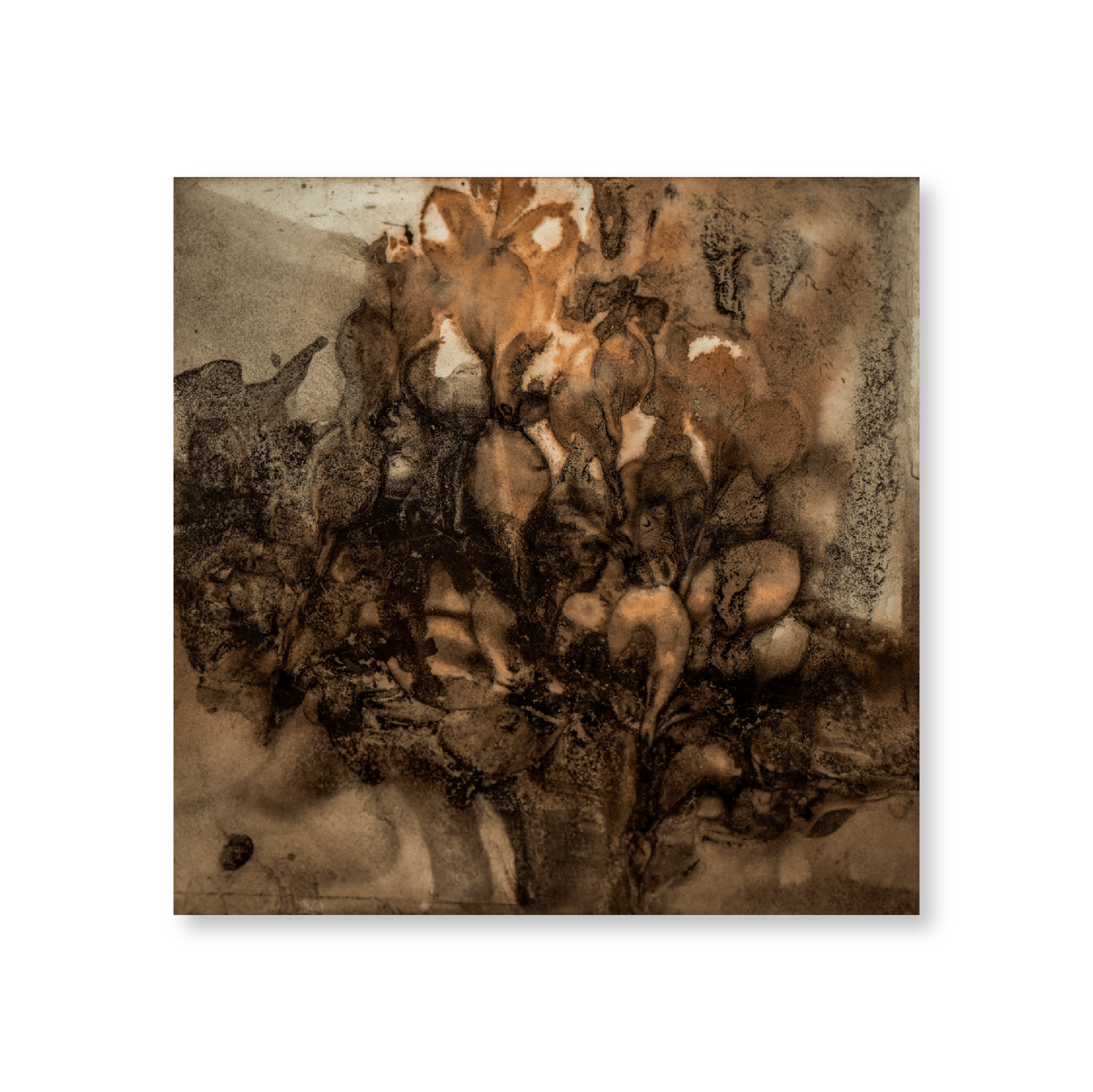 Echoed Rhythms I - Jasper & Jute