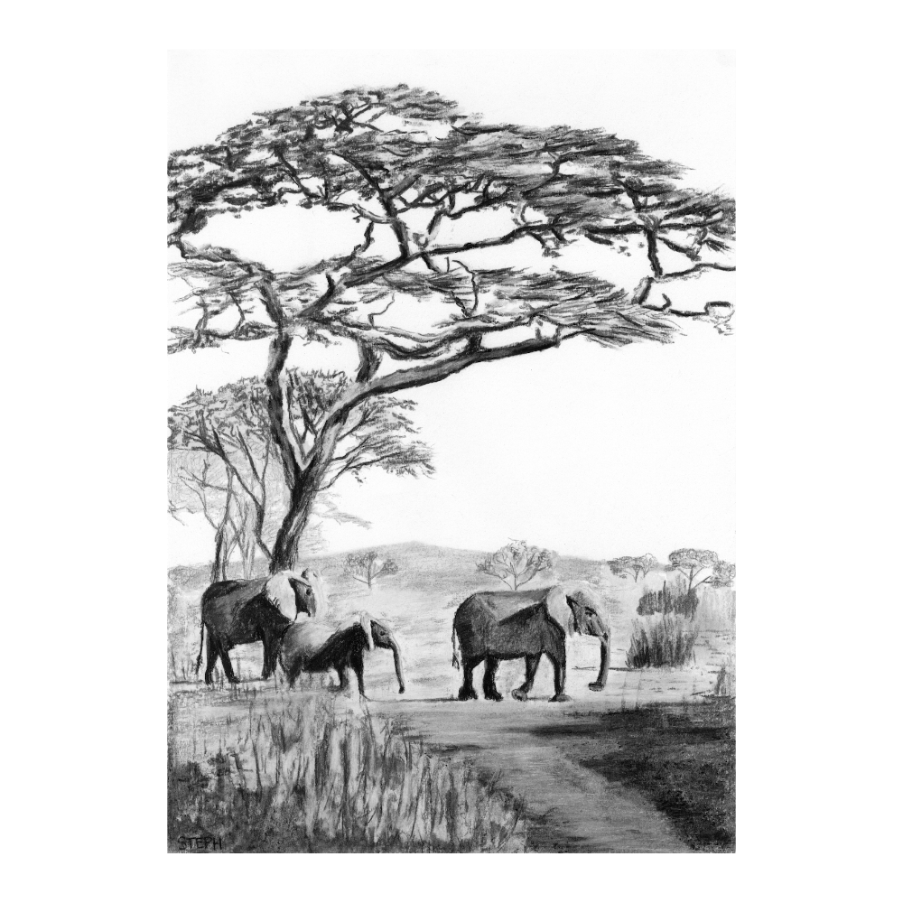 Elephants Journey