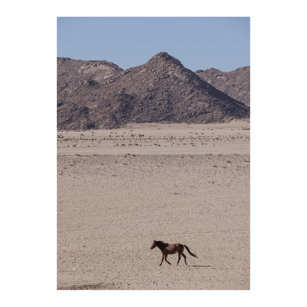 Equus Ferox